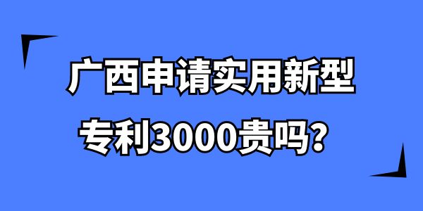 廣西申請實用新型專利3000貴嗎？