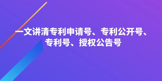 專利公開(kāi)號(hào)和授權(quán)號(hào)一樣嗎？一文講清專利申請(qǐng)?zhí)?、專利公開(kāi)號(hào)、專利號(hào)、授權(quán)公告號(hào)