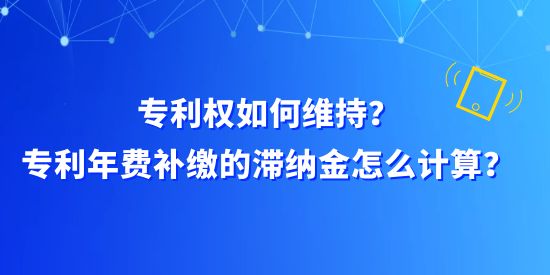 專利權(quán)如何維持？專利年費(fèi)補(bǔ)繳的滯納金怎么計(jì)算？